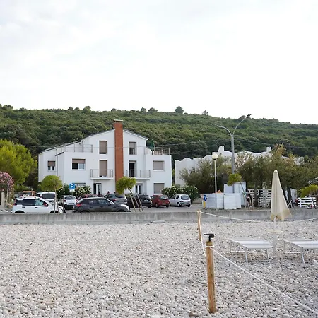 The House Of Friends