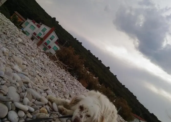 The House Of Friends Dom wakacyjny Torino di Sangro